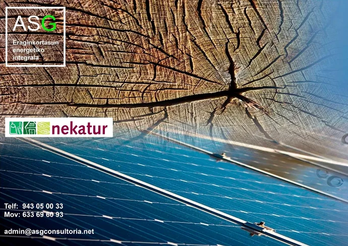 Collage de unas placas solares con el tronco de un árbol
