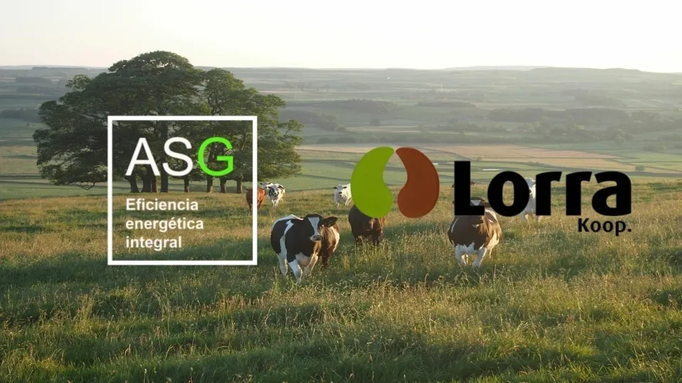 Imagen de vacas en un campo verde con logos de ASG Eficiencia Energética Integral y Lorra Koop.