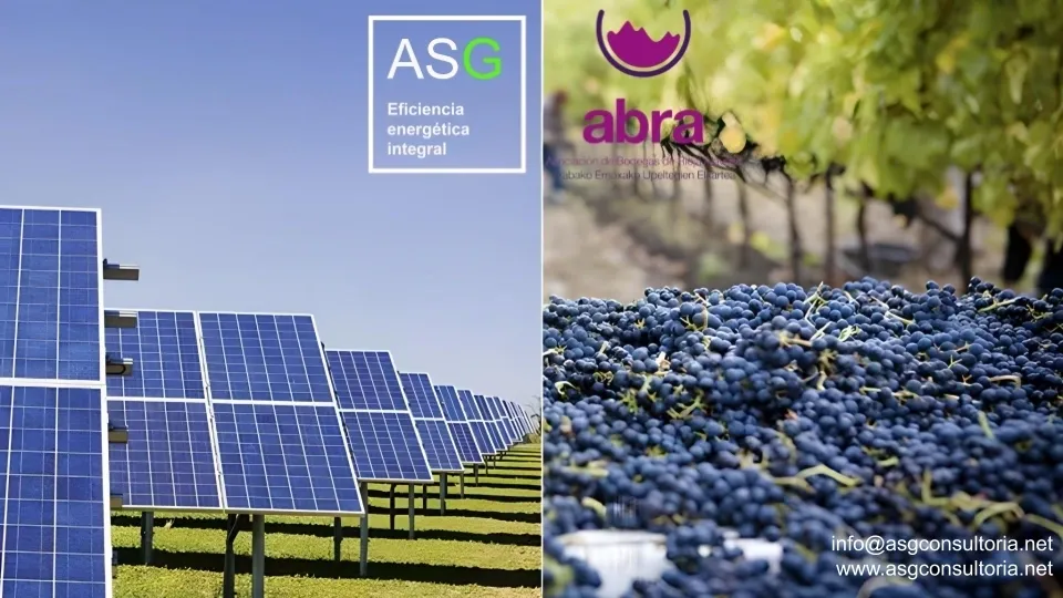 Collage de placas solares en el campo y un montón de uvas en un recipiente en el campo. Alianza ASG Eficiencia Energética Integral y abra.