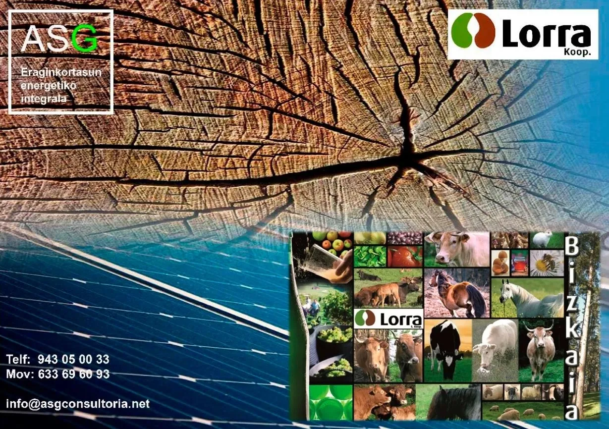 Collage de imágenes de placas solares, animales, verdura, naturaleza y un tronco. Alianza ASG y Lorra Koop.