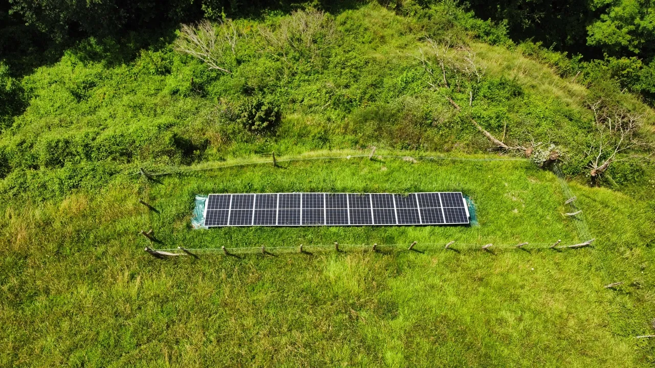 Placas solares en medio de un prado verde vallado.